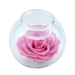 SC CRYSTAL Bougeoir en verre décoré d'une rose éternelle - stabilisée rose