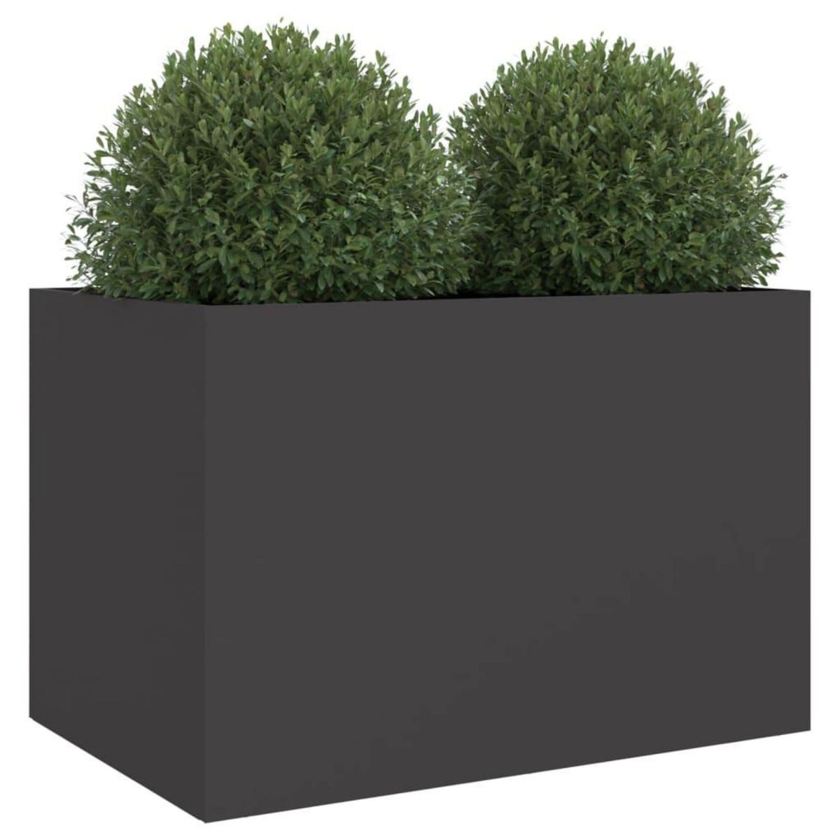 VIDAXL Jardiniere noir 62x47x46 cm acier