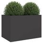 Voir la diapositive 4 : VIDAXL Jardiniere noir 62x47x46 cm acier