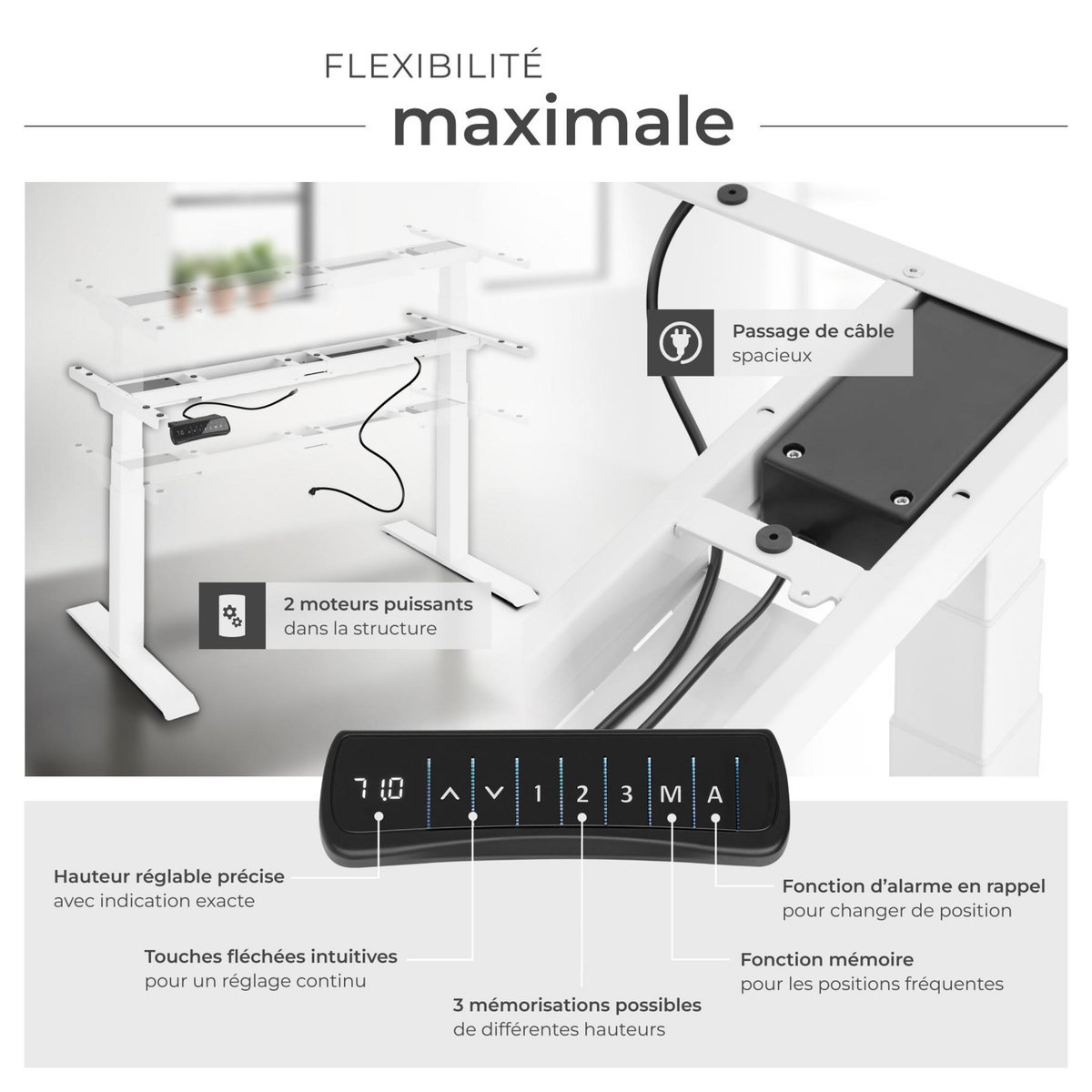 tectake Bureau assis debout réglable en hauteur électriquement avec 2 moteurs