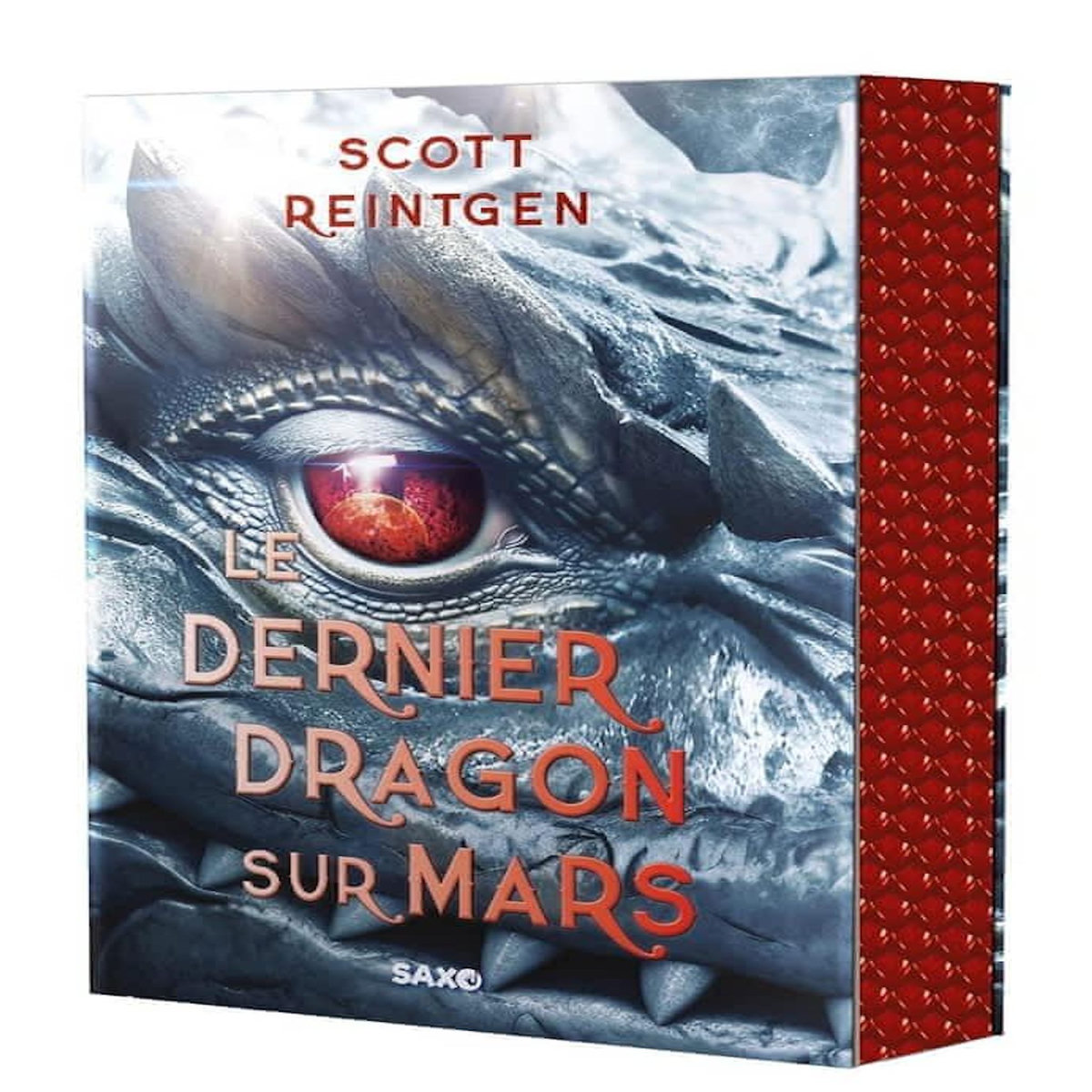 LES DRAGONS-NEFS TOME 1 : LE DERNIER DRAGON SUR MARS, Reintgen Scott