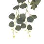 Voir la diapositive 2 : ATMOSPHERA Tige Artificielle Eucalyptus  Drew  80cm Vert