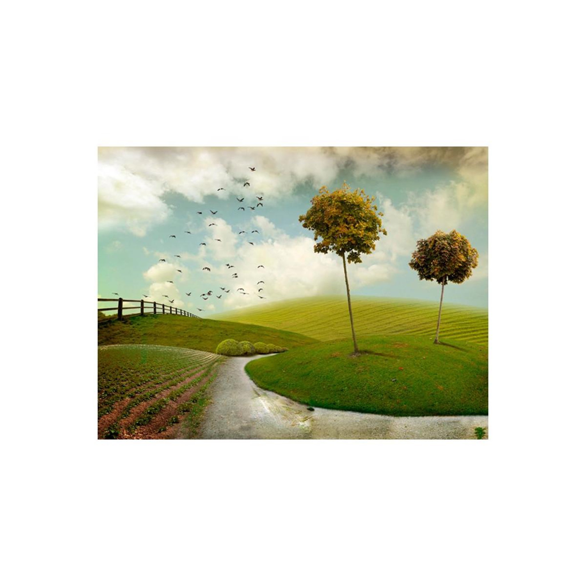 Voir la diapositive 2 : Paris Prix Papier Peint  Automne Paysage