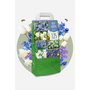 Voir la diapositive 4 : PLANT IN A BOX Mélange de bulbes pour le jardin - Set de 250 - Bulbes à fleurs