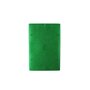 Douceur d'Intérieur Tapis d'entrée 58.5x38.5 grattoir vert