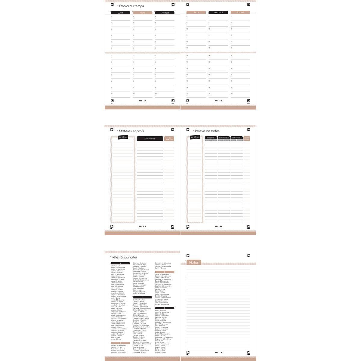 OXFORD Agenda scolaire journalier 12x18cm Flowers fleurs rose élastique rose 2023-2024