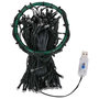 Voir la diapositive 2 : VIDAXL Guirlande lumineuse filet d'arbre de Noël 250 LED 250 cm