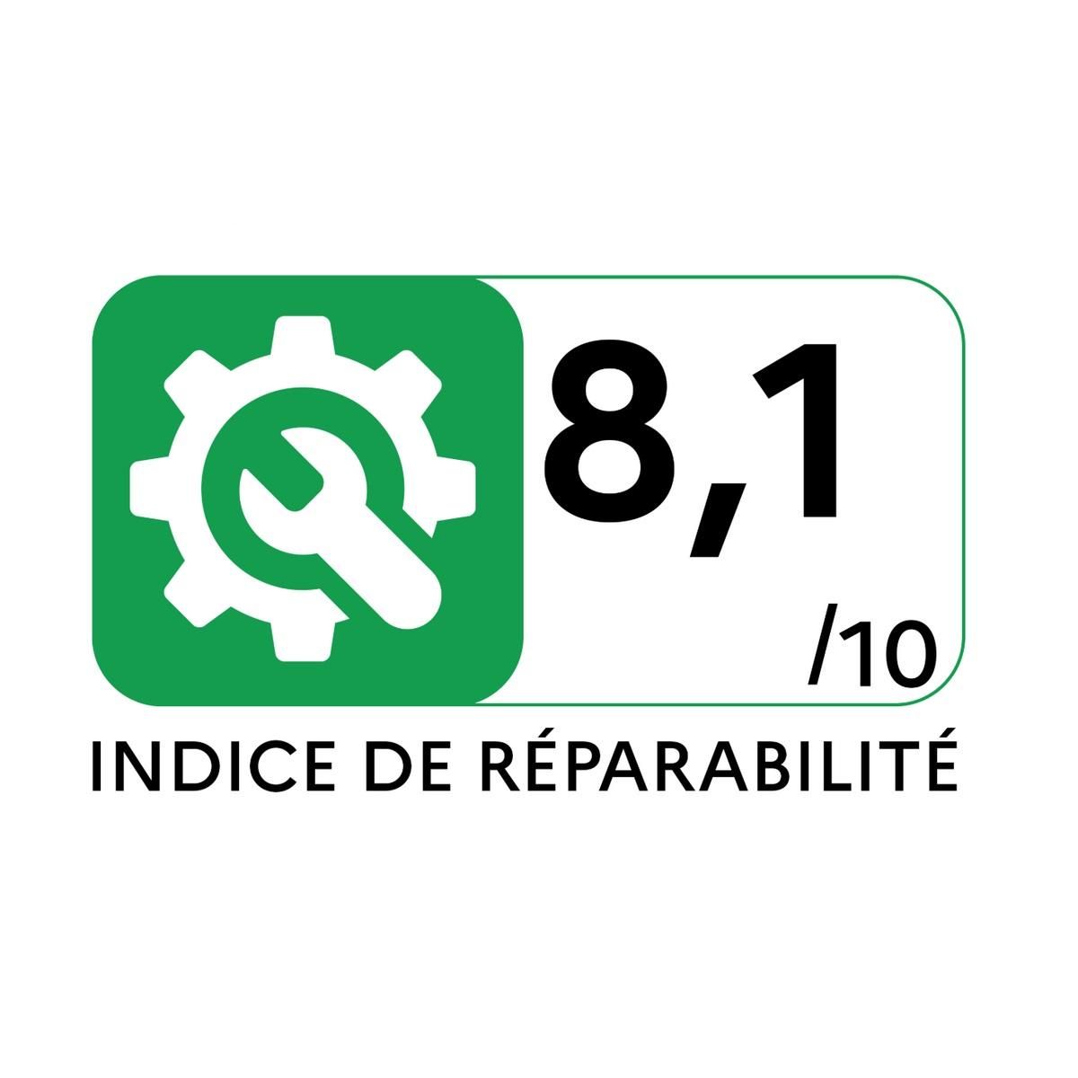 Black et Decker Aspirateur balai filaire 600w noir - BXVMS602E