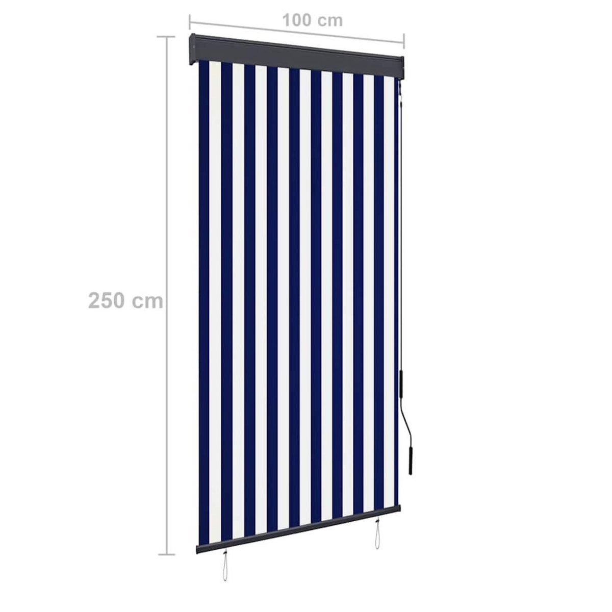 VIDAXL Store roulant d'exterieur 100x250 cm Bleu et blanc