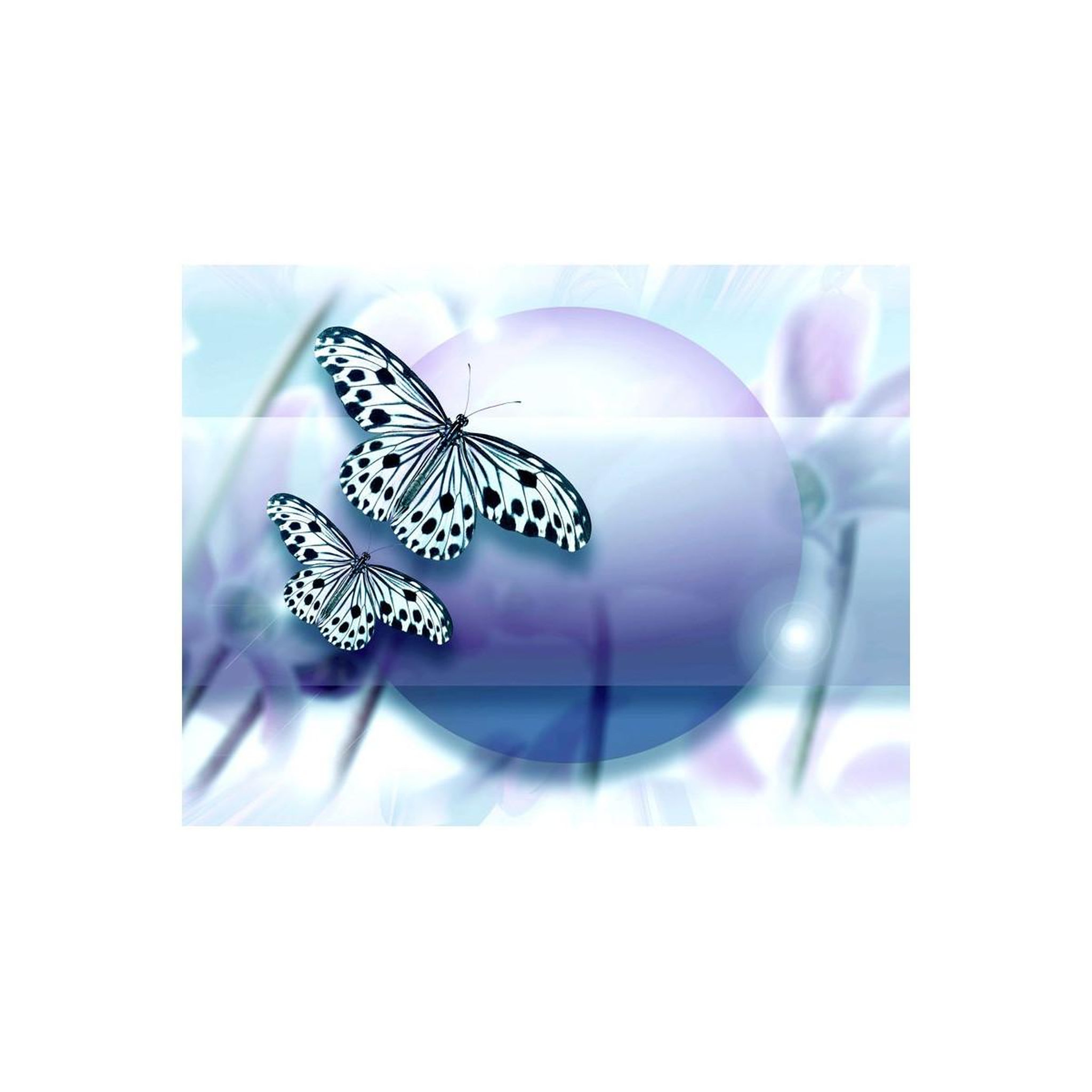 Voir la diapositive 2 : Paris Prix Papier peint  planet of butterflies
