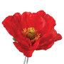 Voir la diapositive 2 : ATMOSPHERA Fleur Artificielle  Coquelicot  70cm Rouge