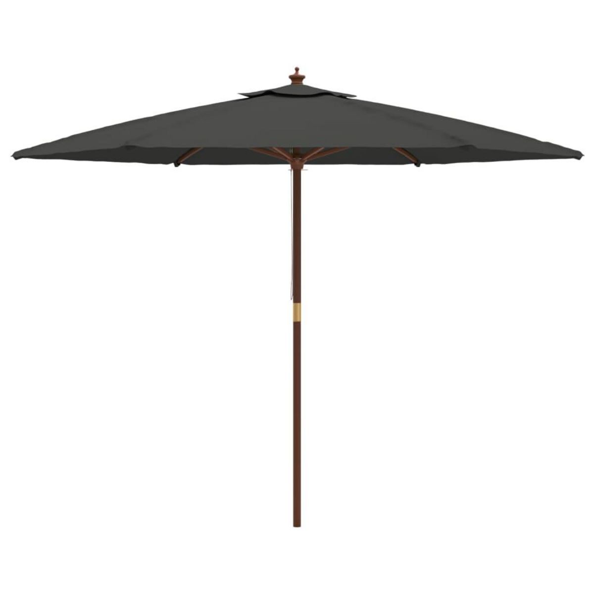 VIDAXL Parasol de jardin avec mat en bois anthracite 299x240 cm