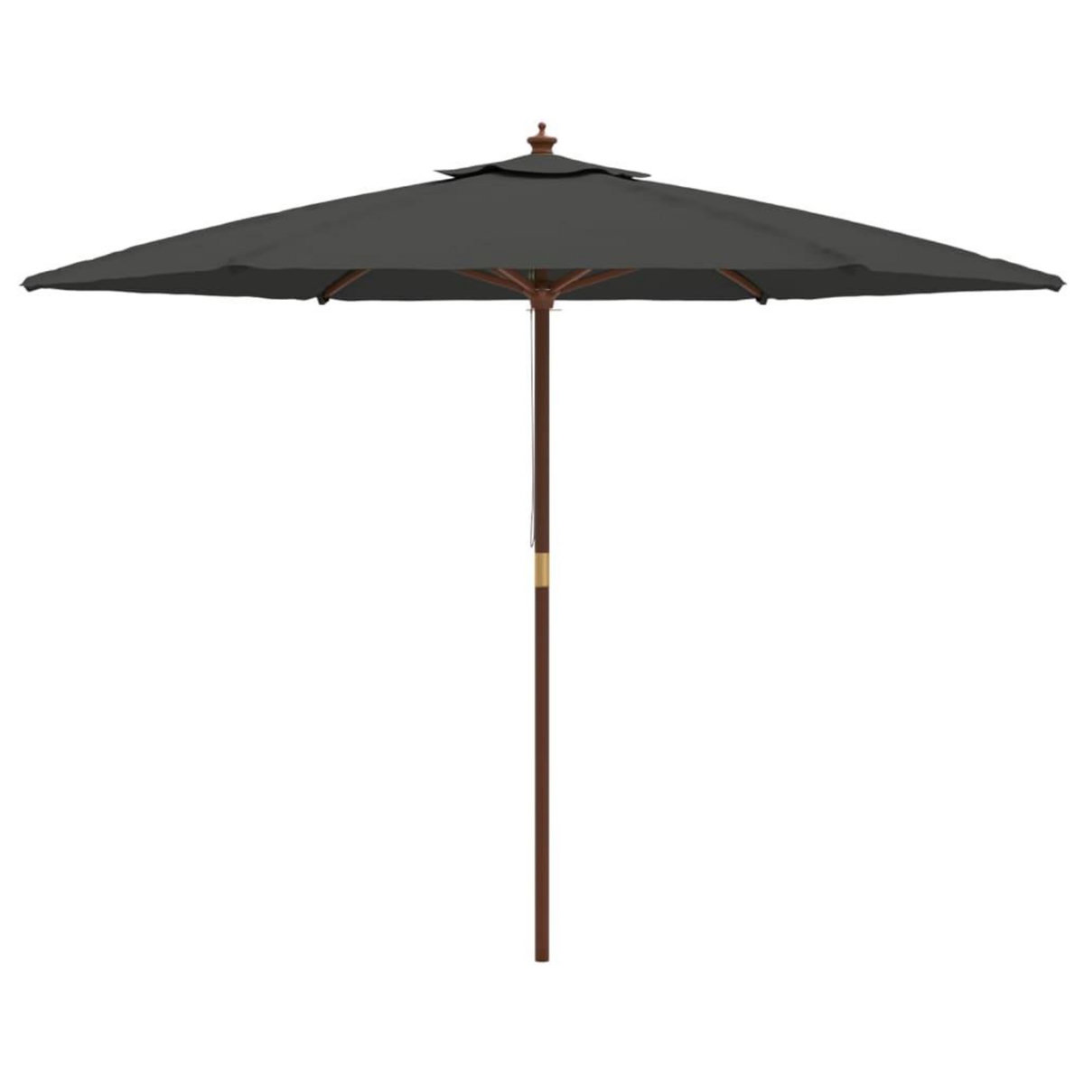 VIDAXL Parasol de jardin avec mat en bois anthracite 299x240 cm