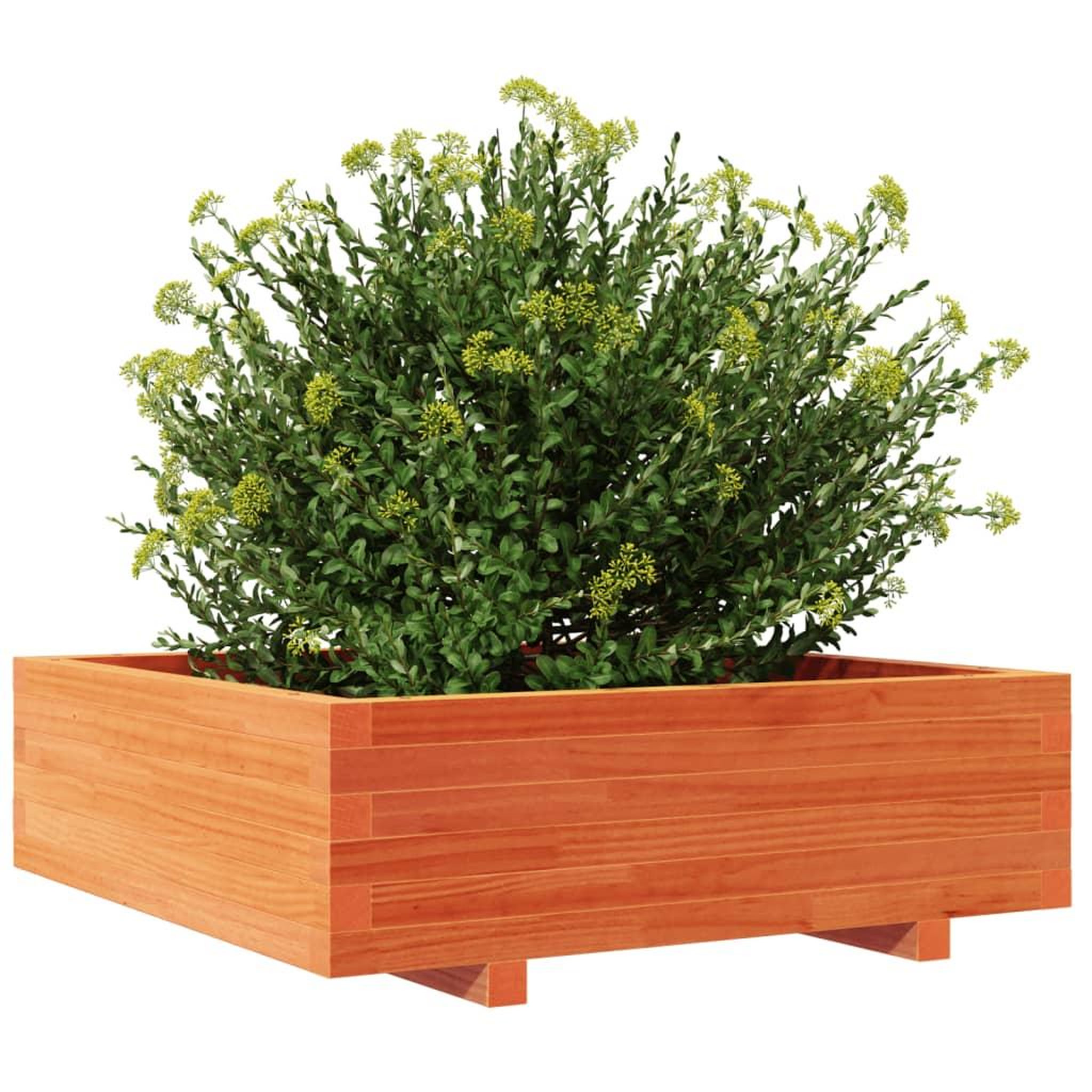 Voir la diapositive 4 : VIDAXL Jardiniere cire marron 80x80x26,5 cm bois de pin massif