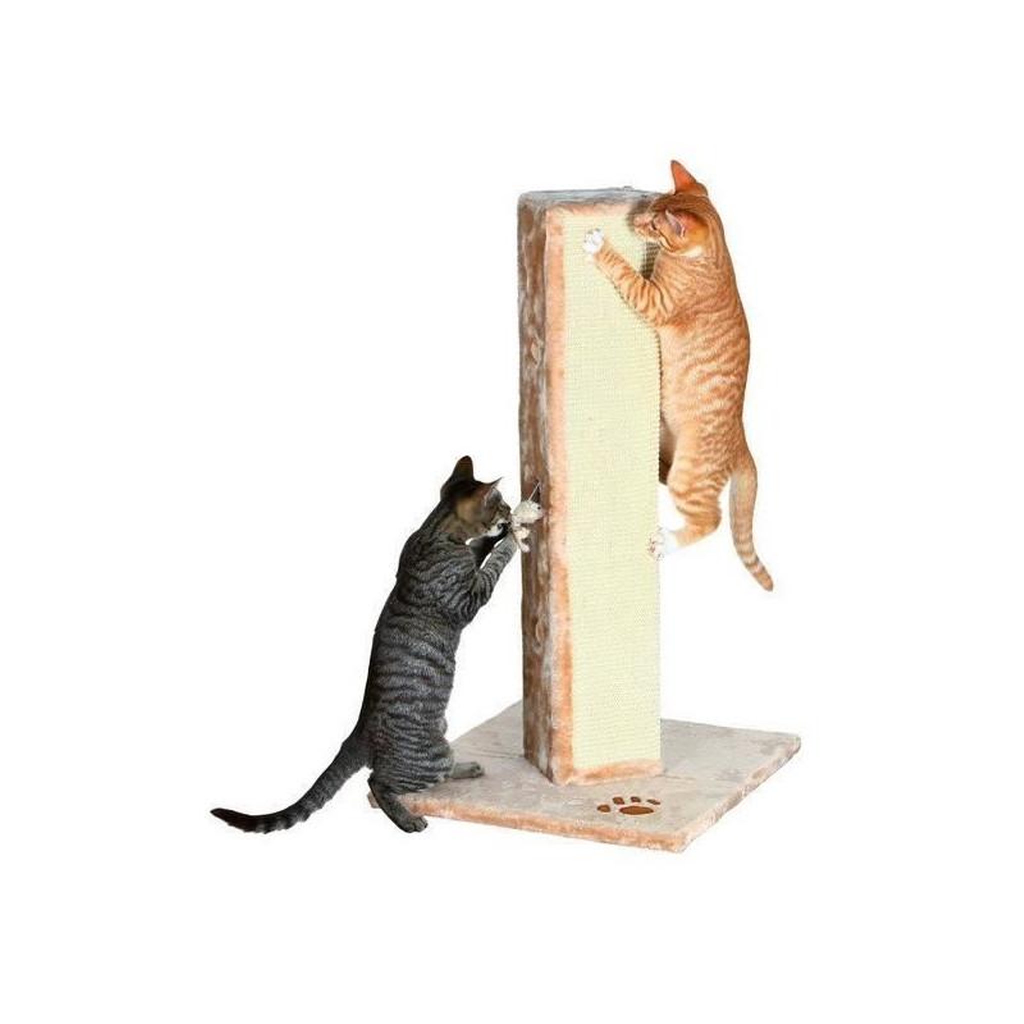 Voir la diapositive 2 : Trixie TRIXIE Soria Griffoir colonne pour chat H 80 cm