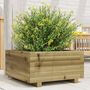 Voir la diapositive 1 : VIDAXL Jardiniere 50x50x26,5 cm bois de pin impregne
