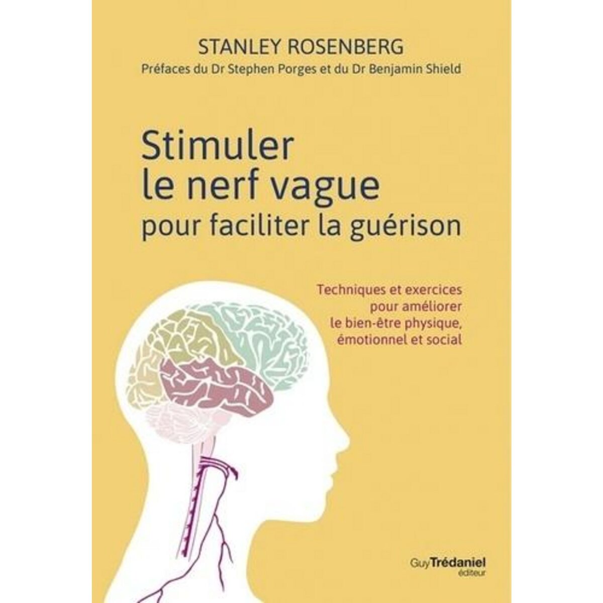 STIMULER LE NERF VAGUE POUR FACILITER LA GUERISON. TECHNIQUES ET EXERCICES POUR AMELIORER LE BIEN-ETRE PHYSIQUE, EMOTIONNEL ET SOCIAL, Rosenberg Stanley
