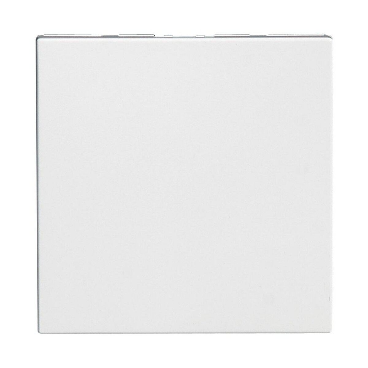 Legrand Mosaic obturateur 2 modules mécanismes