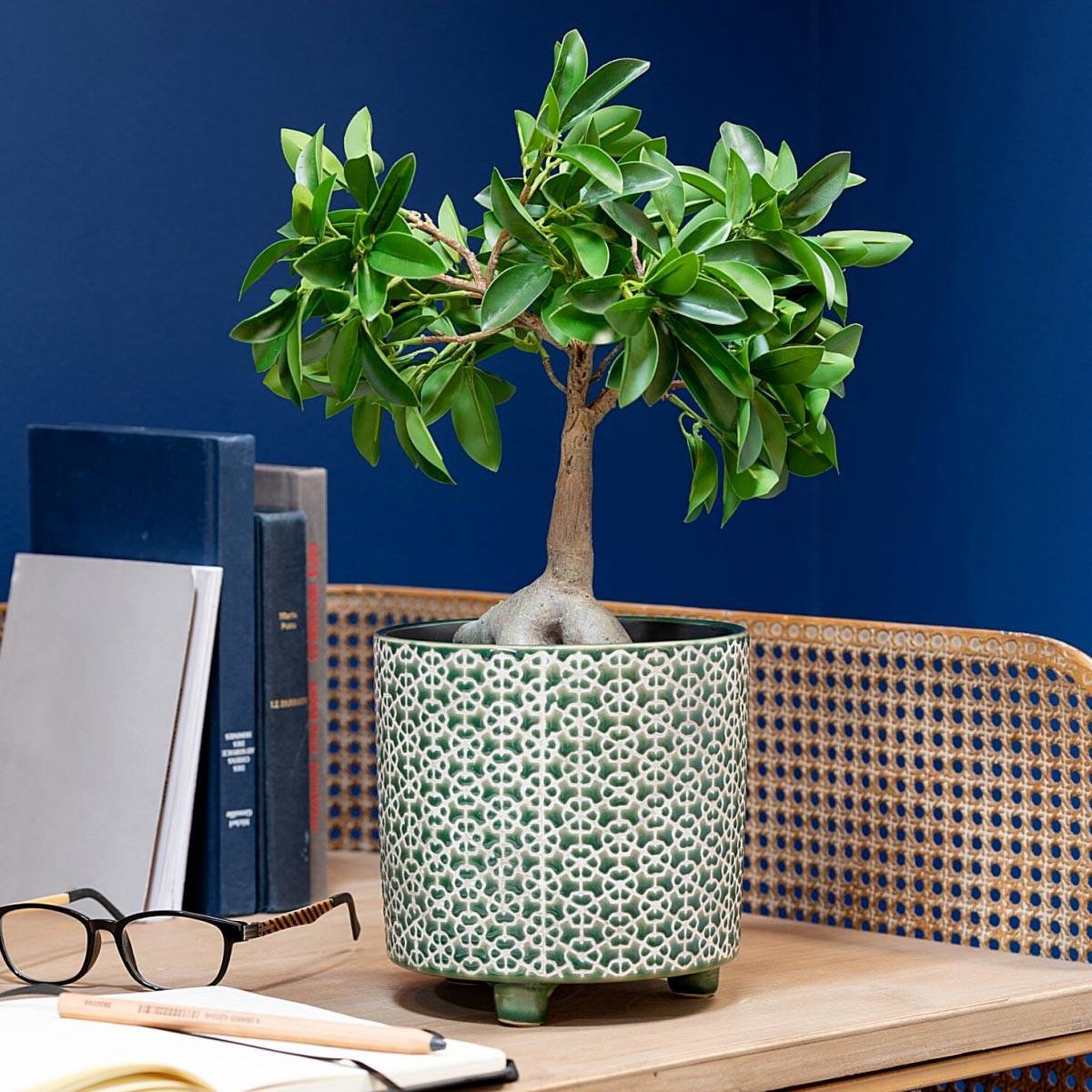 Voir la diapositive 2 : J-LINE Cache-pot déco en céramique  minada  16cm vert