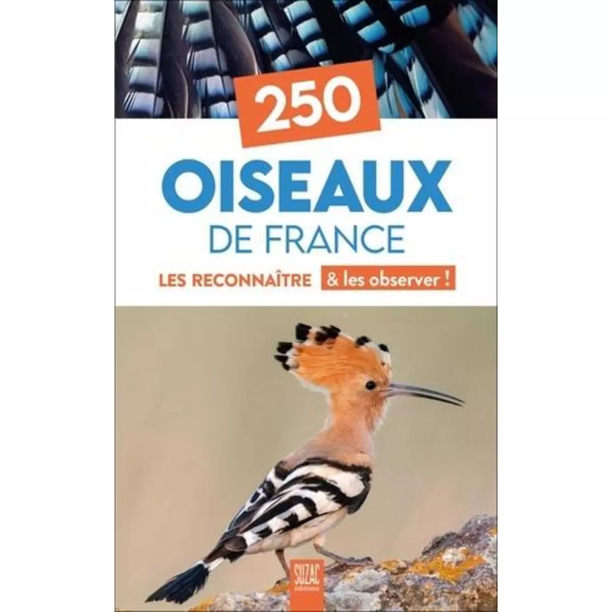  250 OISEAUX DE FRANCE. LES RECONNAITRE & LES OBSERVER !, Suzac