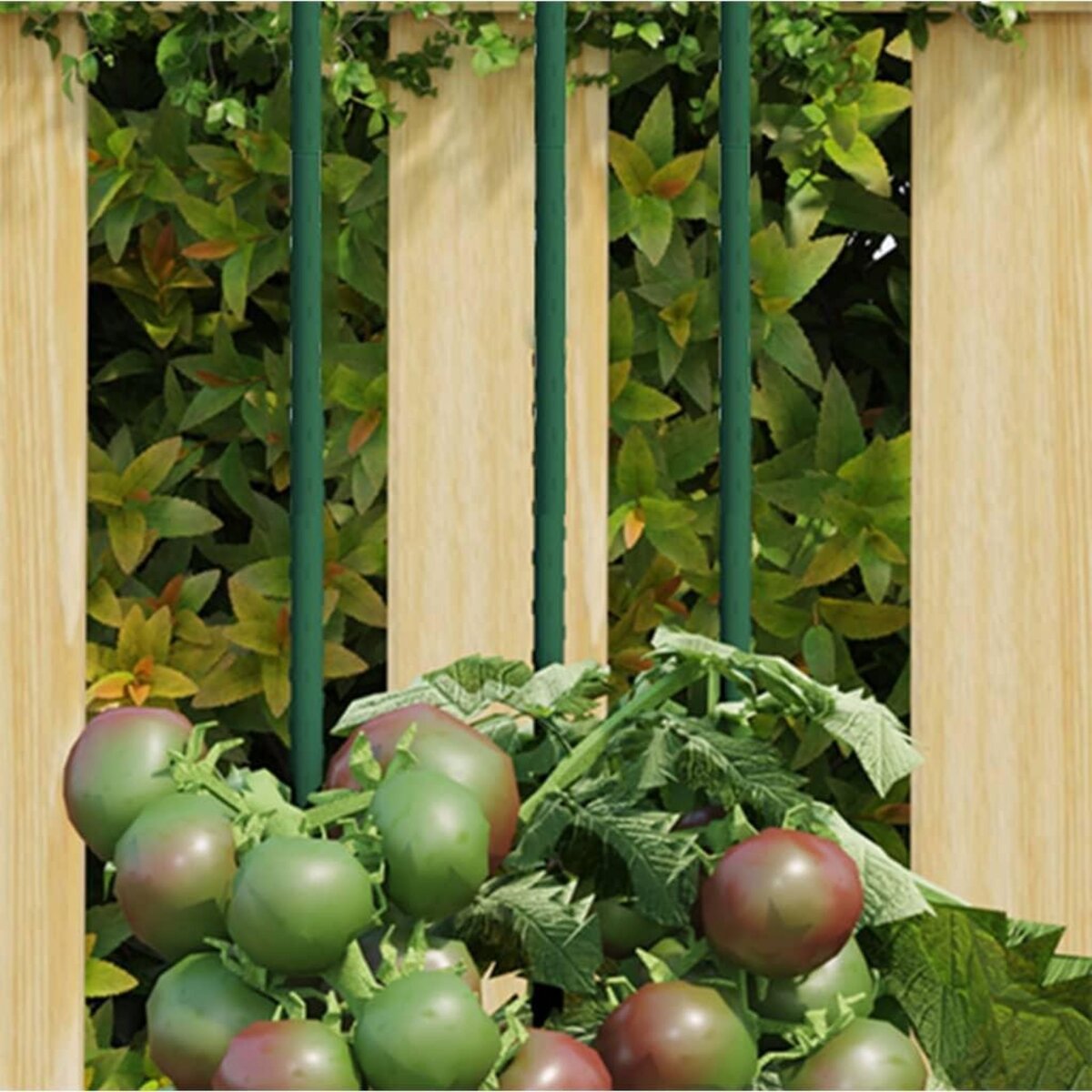 VIDAXL Piquets pour plantes de jardin 30 pcs vert 180 cm acier pas