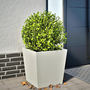Voir la diapositive 1 : VIDAXL Jardiniere blanc 50x50x50 cm acier