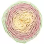 RICO DESIGN Pelote fil coton icecream - ricorumi spin spin 50 g