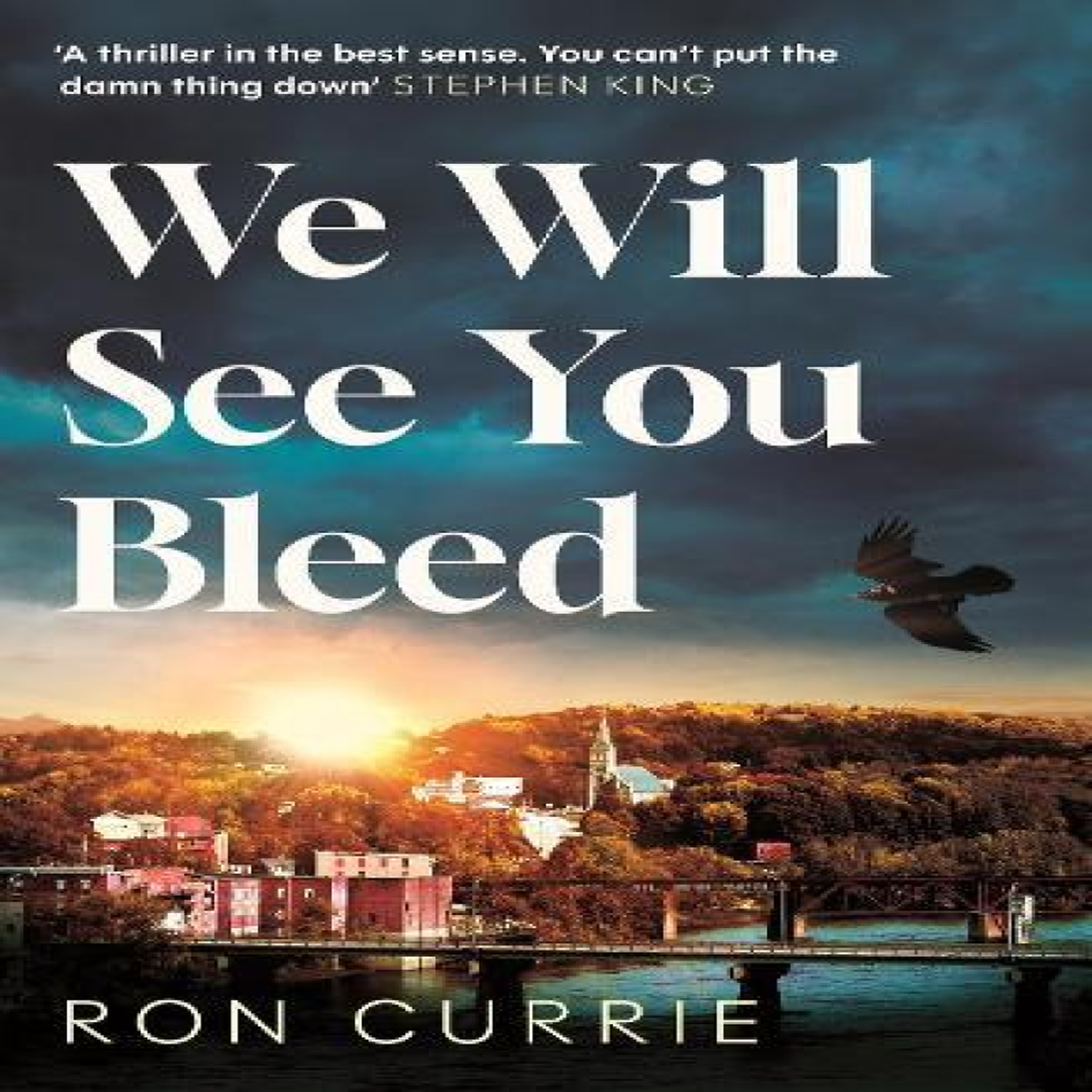 LIVRES We Will See You Bleed :  A thriller in the best sense