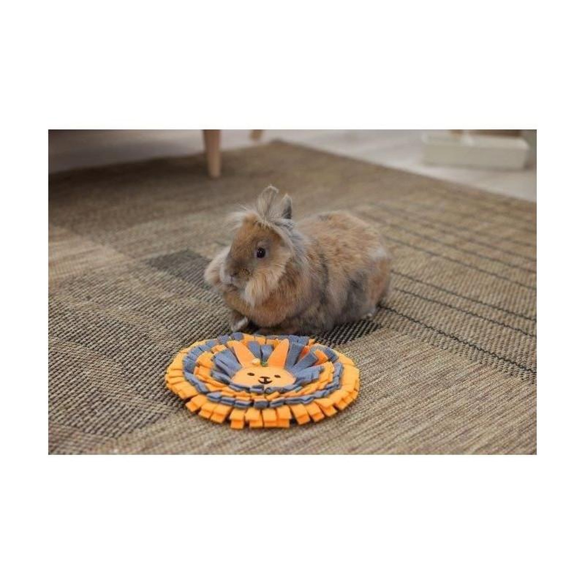 Voir la diapositive 2 : KERBL Tapis a renifler pour lapins - KERBL - Ø25 cm - Prise ludique - Antidérapant