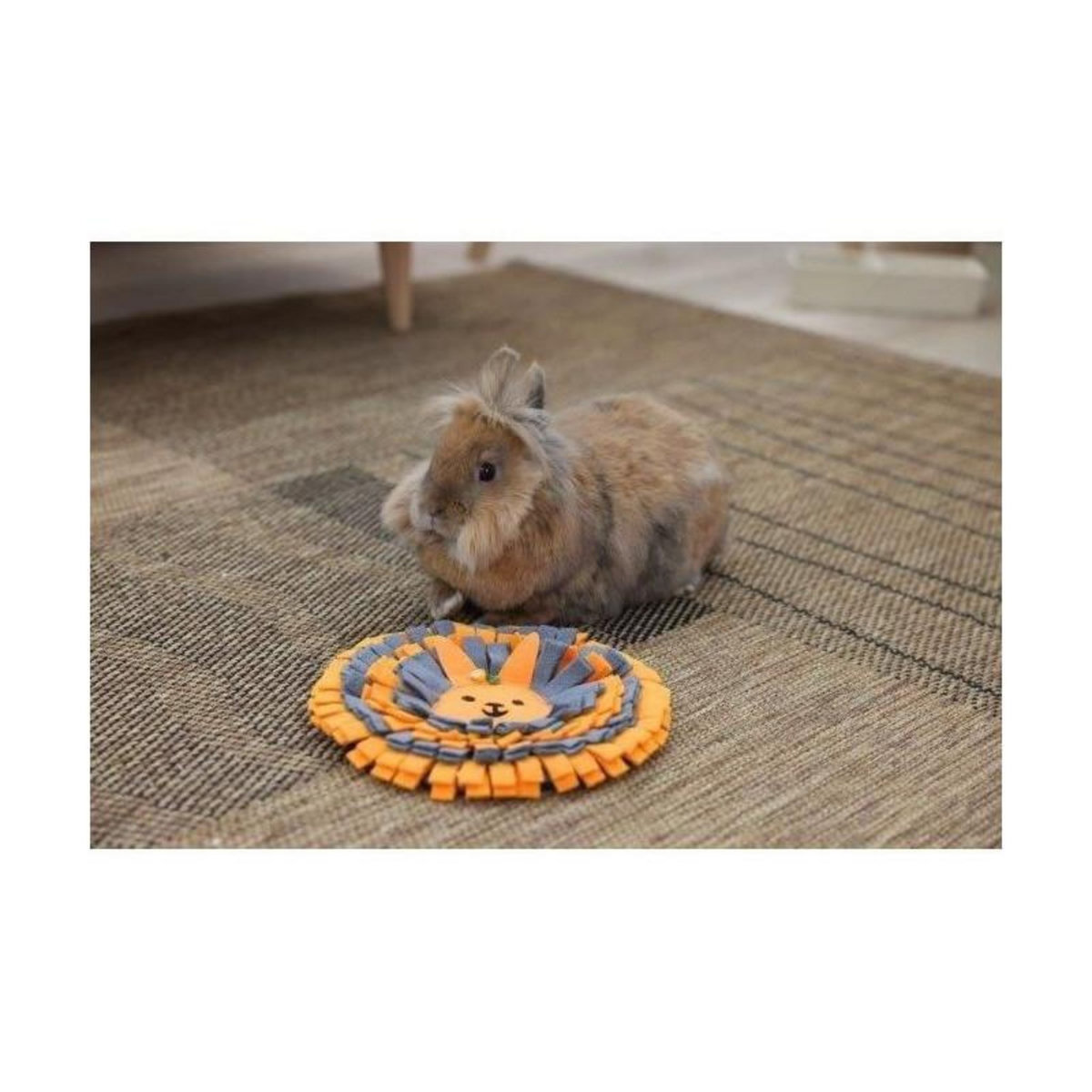 KERBL Tapis a renifler pour lapins - KERBL - Ø25 cm - Prise ludique - Antidérapant