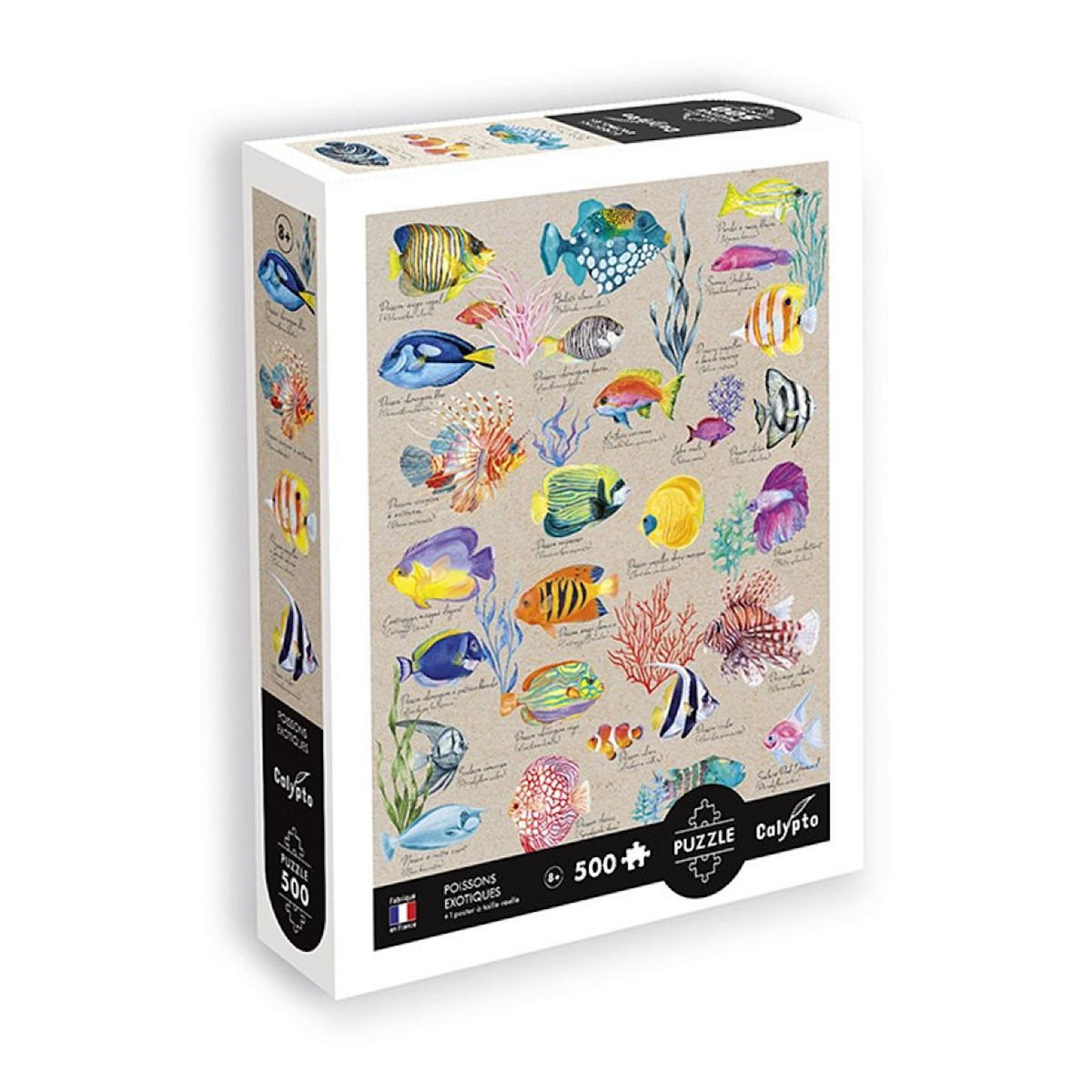 Sentosphere Puzzle 500 pieces - Poissons exotiques