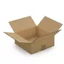 RAJA 10 cartons d'emballage 25 x 25 x 10 cm - Double cannelure
