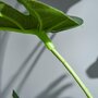 OUTSUNNY Arbre artificiel plante artificielle Monstera H. 100 cm tronc branches lichen feuilles de tortue grand réalisme pot inclus