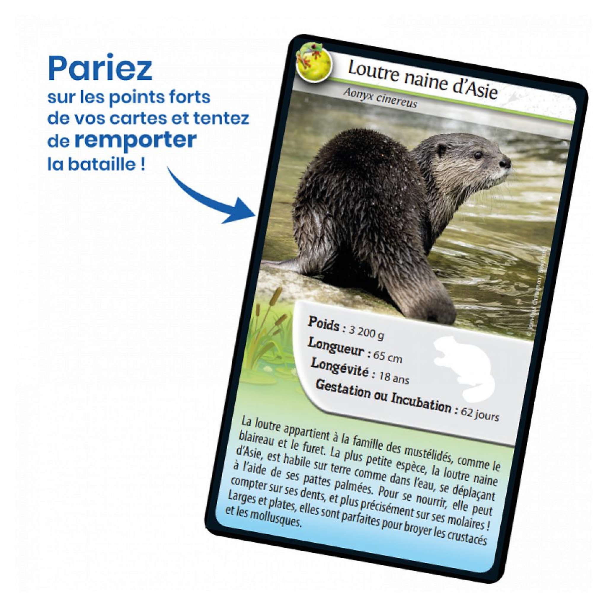 Voir la diapositive 3 : Bioviva Défis nature animaux d'eau douce