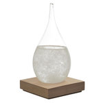 Paris Prix Baromètre à Cristaux  Verre Tempête  17cm Transparent