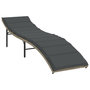 Voir la diapositive 3 : VIDAXL Chaises longues lot de 2 et coussins gris clair resine tressee