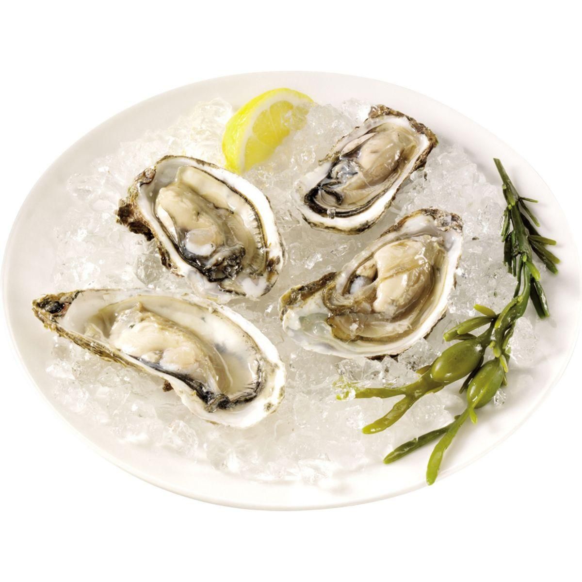 PRINCESS Machine à piler la glace 282984