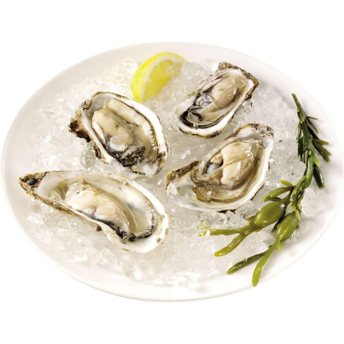 PRINCESS Machine à piler la glace 282984