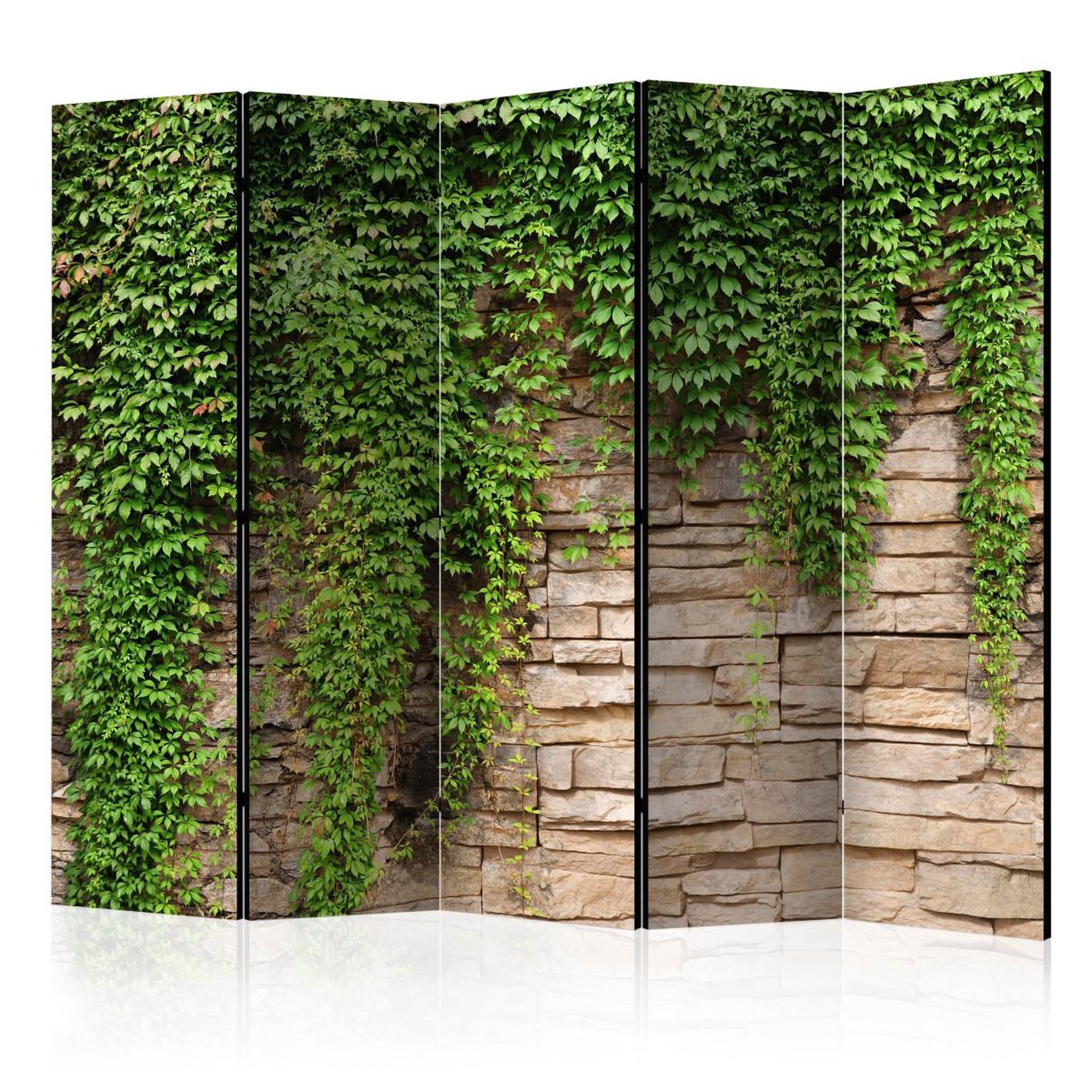Paris Prix Paravent 5 volets  ivy wall  172x225cm