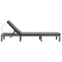 Voir la diapositive 4 : VIDAXL Chaise longue avec coussin Resine tressee Anthracite