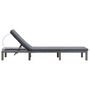 Voir la diapositive 4 : VIDAXL Chaise longue avec coussin Resine tressee Anthracite