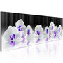 Voir la diapositive 1 : Paris Prix Tableau Imprimé  Water Orchids