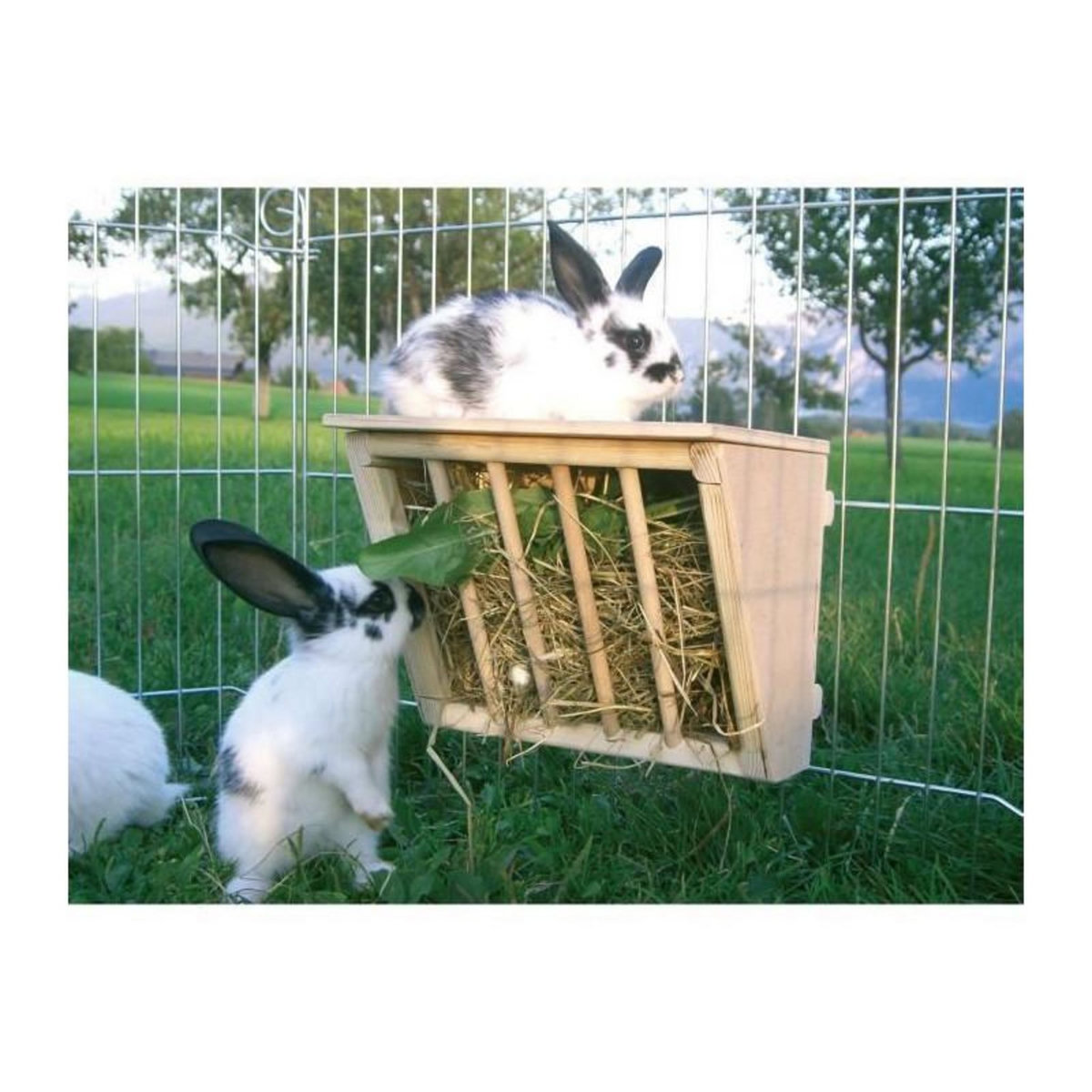 KERBL KERBL Ratelier a foin avec etage 25x17x20cm - Pour rongeur