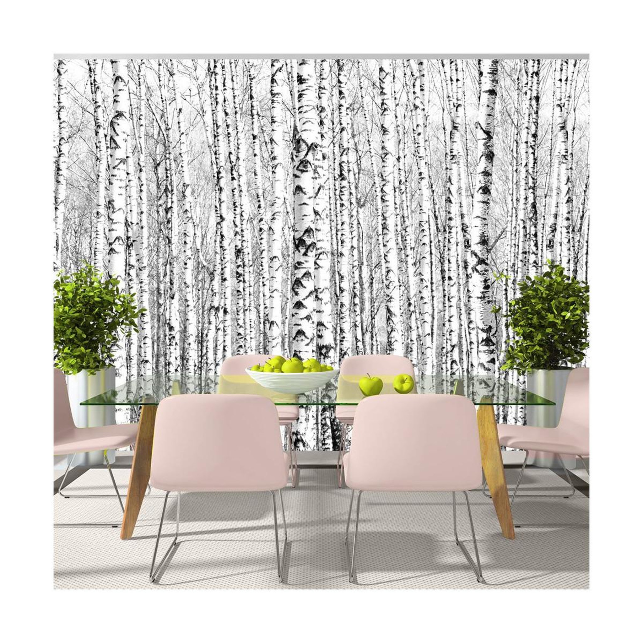 Voir la diapositive 1 : Paris Prix Papier Peint  Birch Forest