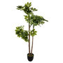 Voir la diapositive 1 : ATMOSPHERA Plante Artificielle  Schefflera  135cm Vert & Noir