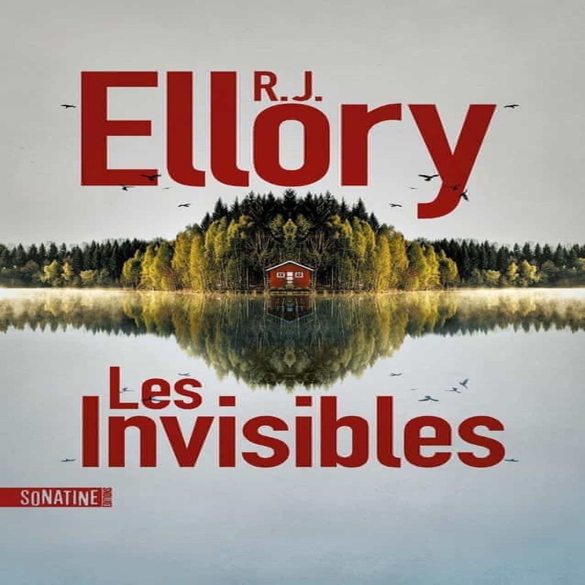 LES INVISIBLES, Ellory R.J.