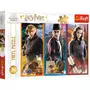 Trefl Puzzle 200 pièces : Harry Potter - Dans le monde de la magie et de la sorcellerie