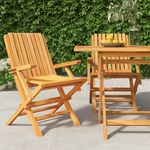 VIDAXL Chaises de jardin pliantes lot de 2 61x67x90cm bois massif teck