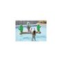 Voir la diapositive 2 : AIRMYFUN Filet de Volley Gonflable et Flottant pour Piscine & Plage, 274 x 165 x 37 cm - Design Cactus