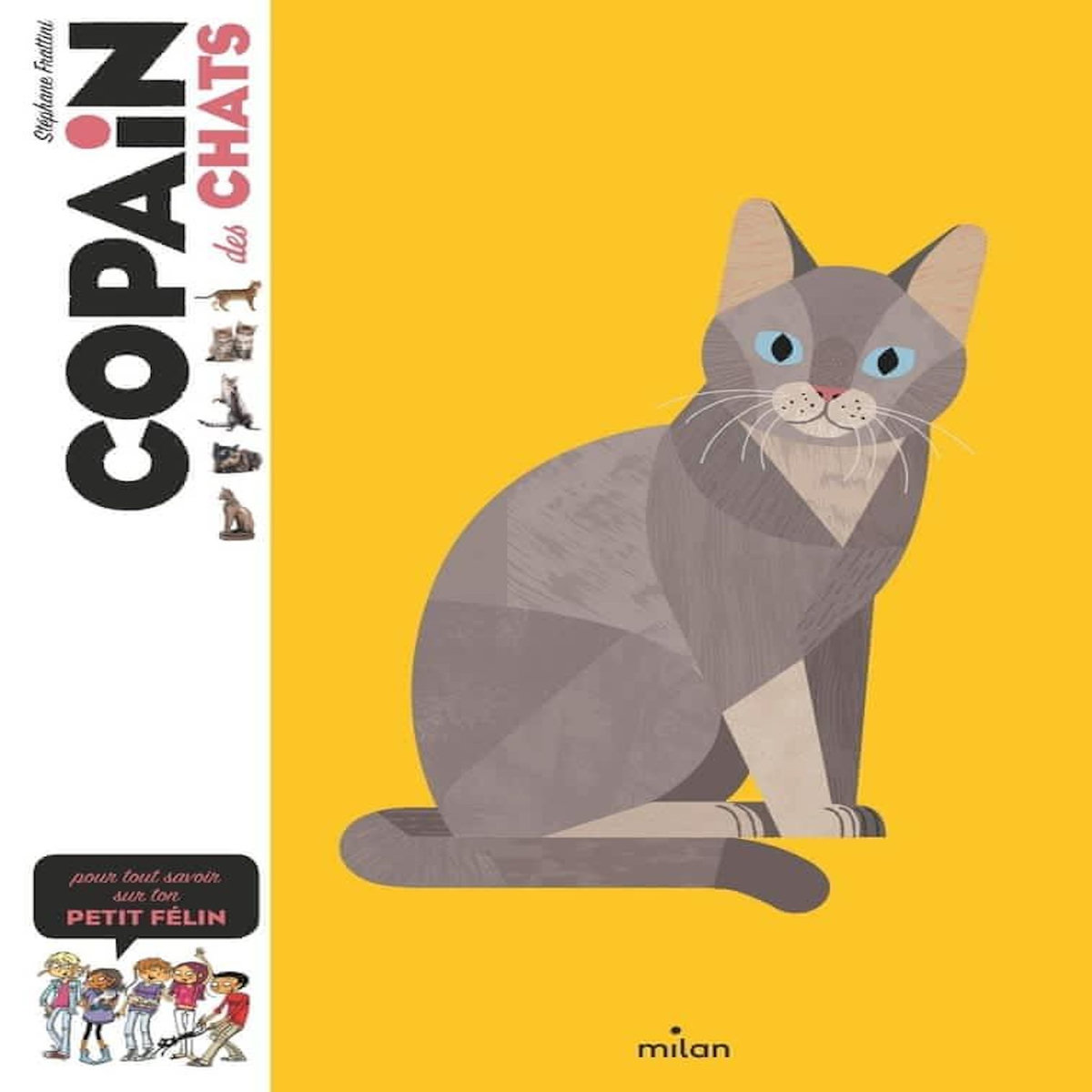 COPAIN DES CHATS. POUR TOUT SAVOIR SUR TON PETIT FELIN, Frattini Stéphane